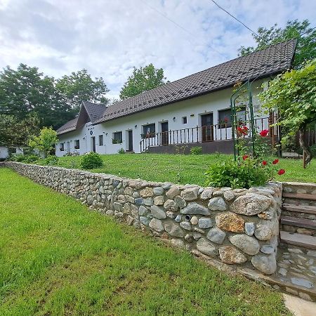 Casa Morii Ohaba Villa Dış mekan fotoğraf