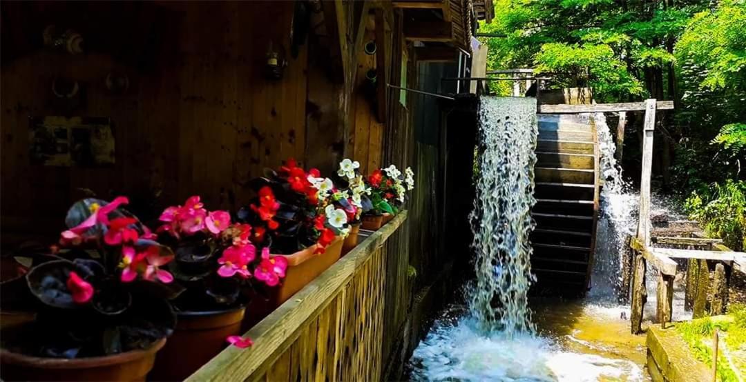 Casa Morii Ohaba Villa Dış mekan fotoğraf