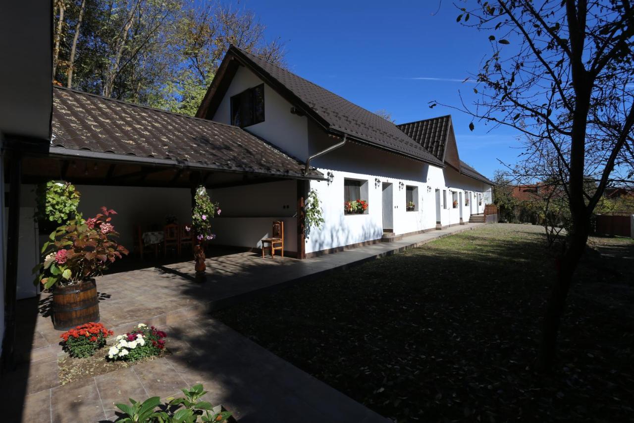 Casa Morii Ohaba Villa Dış mekan fotoğraf
