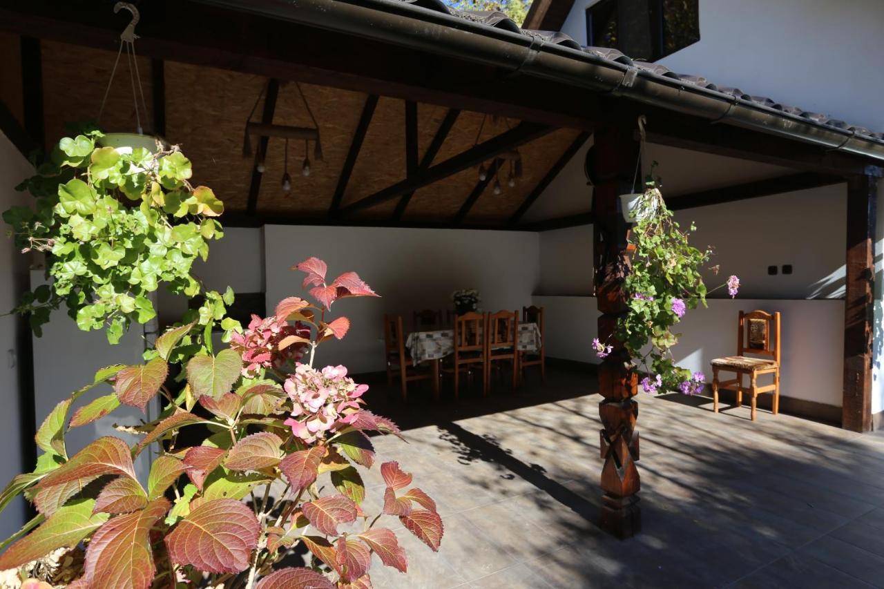 Casa Morii Ohaba Villa Dış mekan fotoğraf