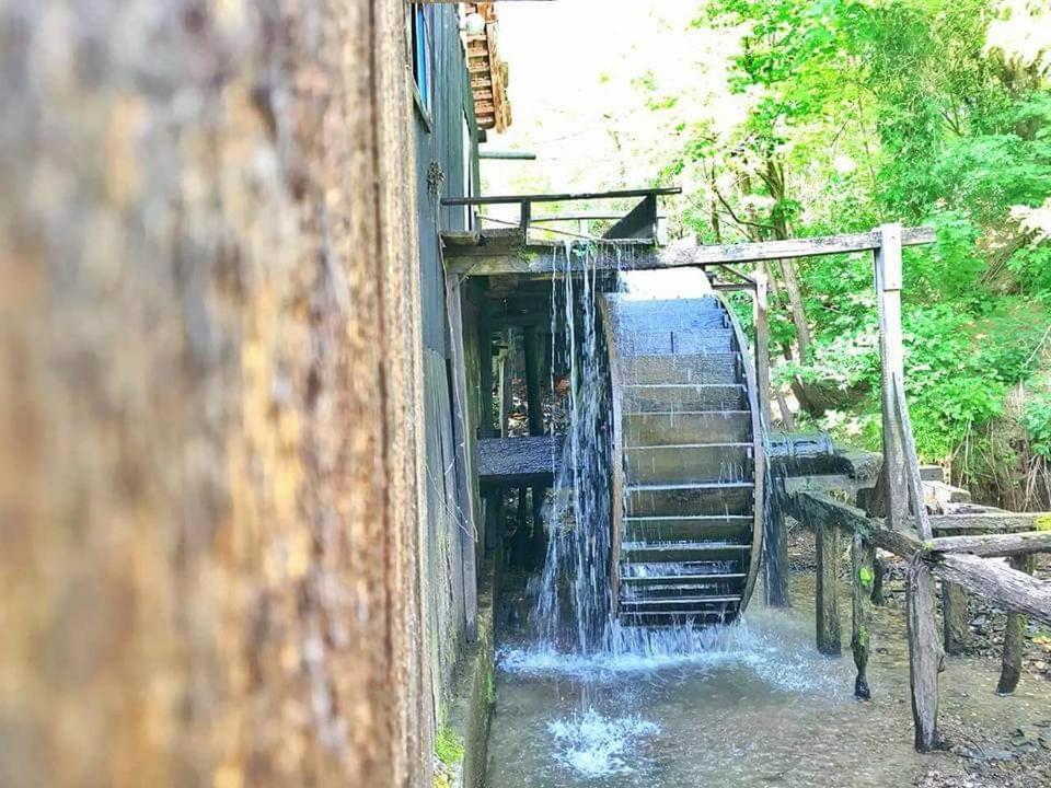 Casa Morii Ohaba Villa Dış mekan fotoğraf
