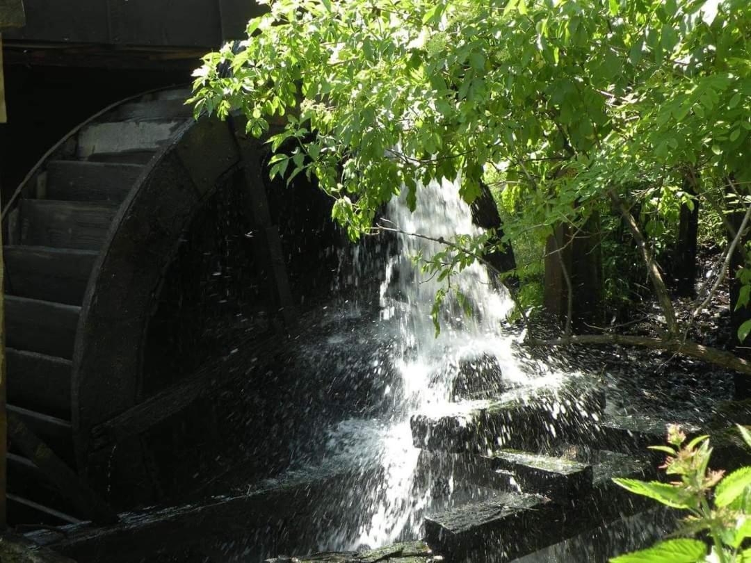 Casa Morii Ohaba Villa Dış mekan fotoğraf