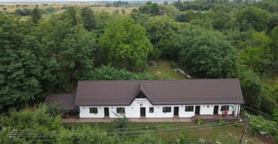 Casa Morii Ohaba Villa Dış mekan fotoğraf