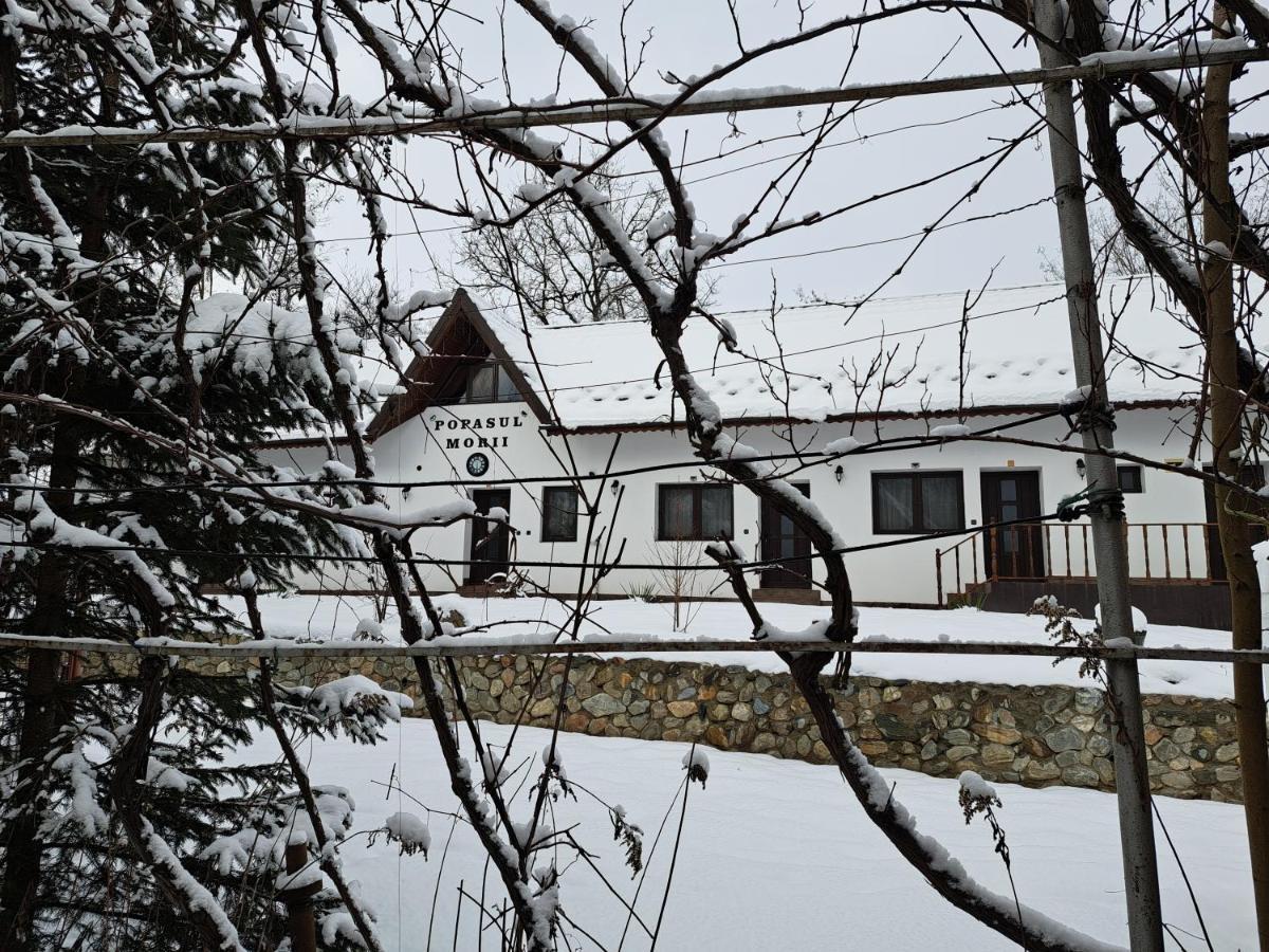 Casa Morii Ohaba Villa Dış mekan fotoğraf