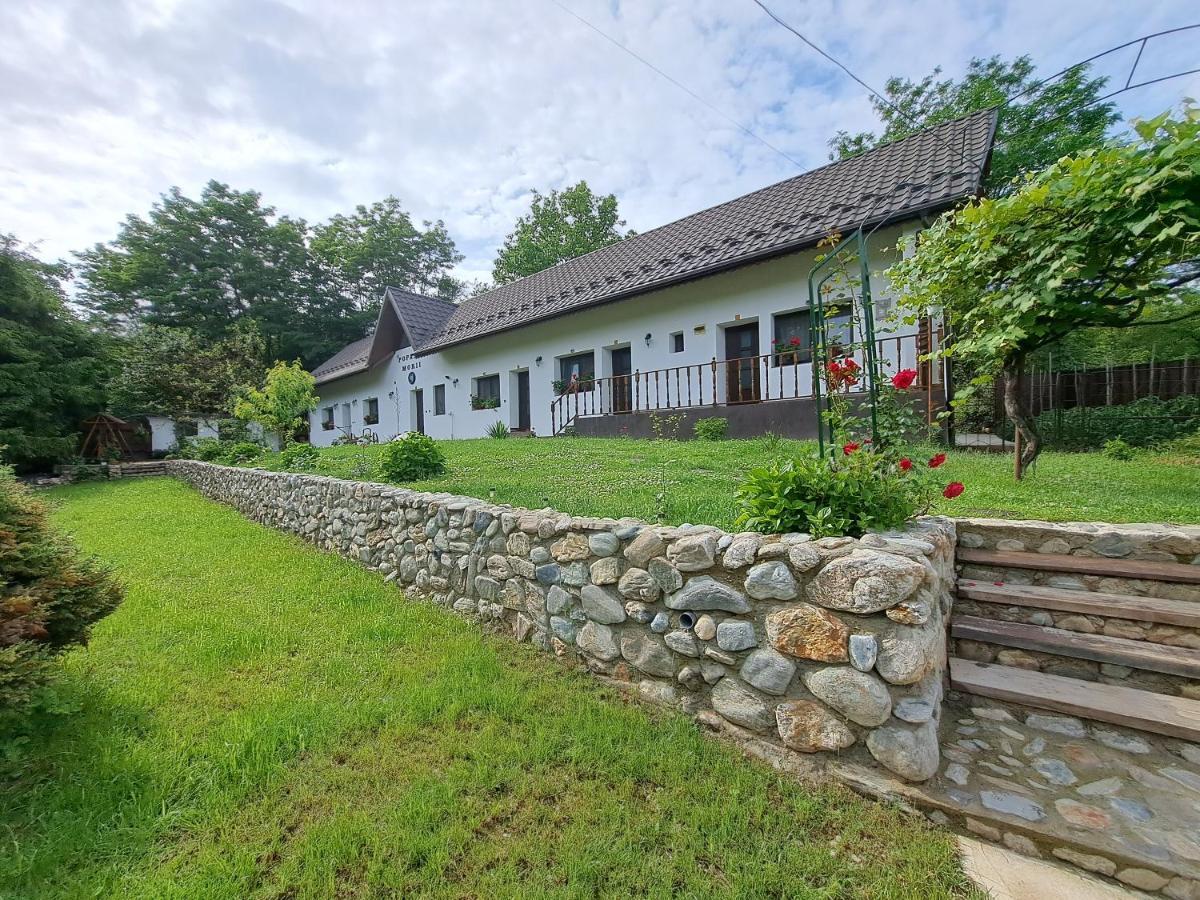 Casa Morii Ohaba Villa Dış mekan fotoğraf