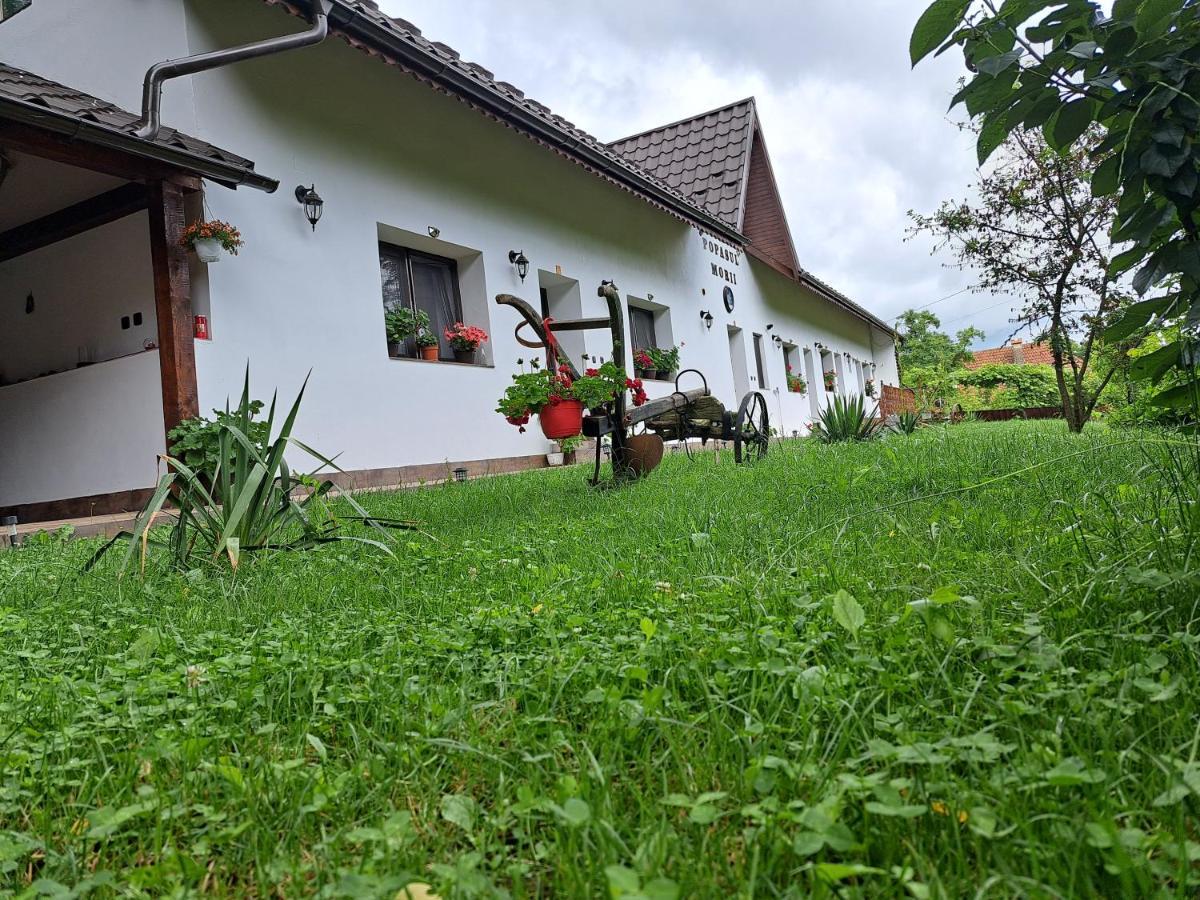 Casa Morii Ohaba Villa Dış mekan fotoğraf